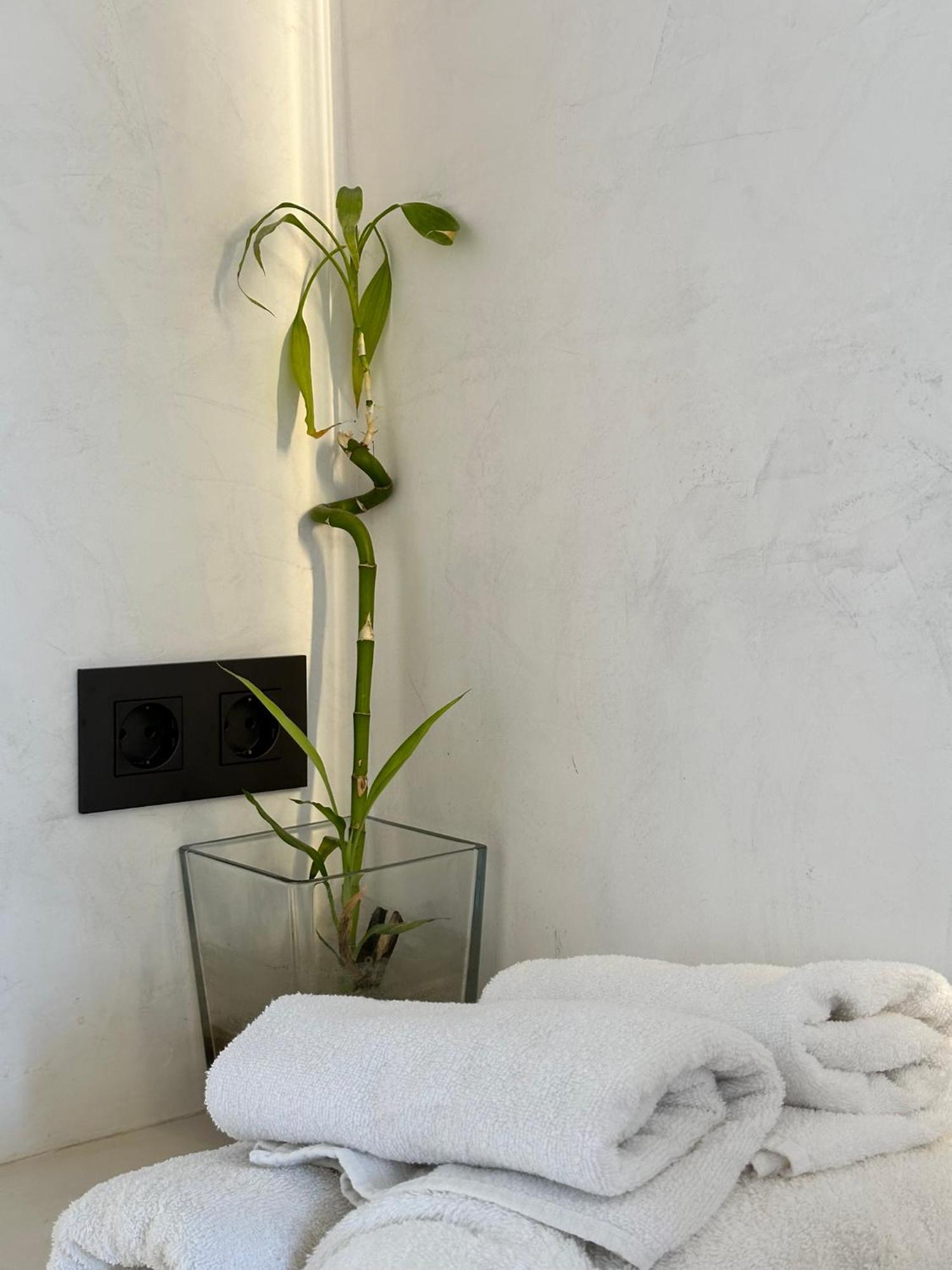 Aba Penthouse, Piscina&Azotea Privada Διαμέρισμα Conil De La Frontera Εξωτερικό φωτογραφία