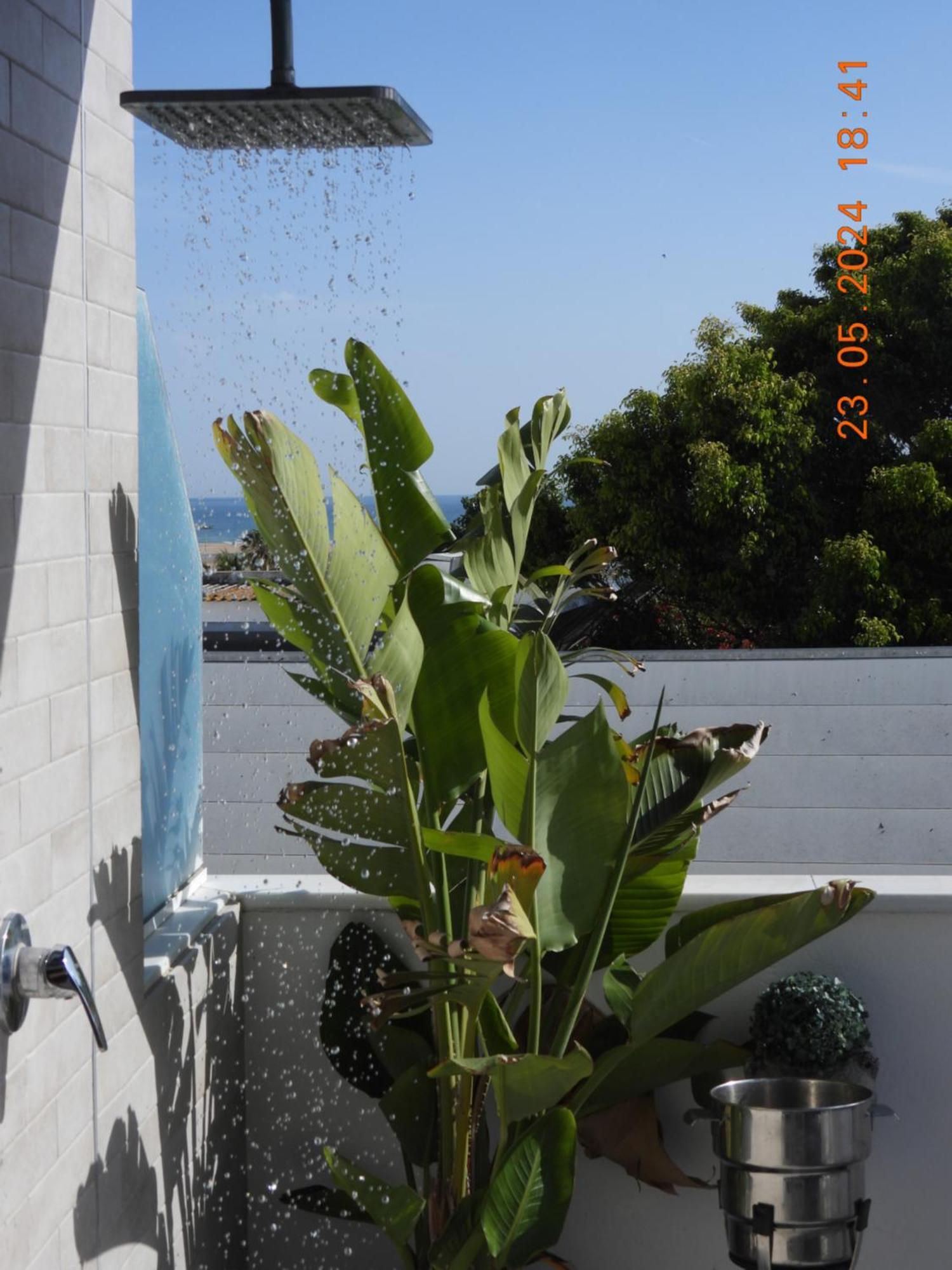 Aba Penthouse, Piscina&Azotea Privada Διαμέρισμα Conil De La Frontera Εξωτερικό φωτογραφία